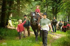 Bayerischer Wald